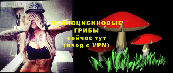 бошки Карпинск