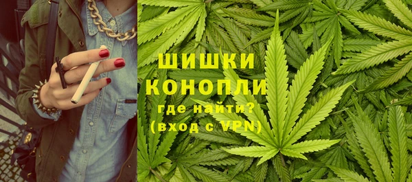 бошки Карпинск