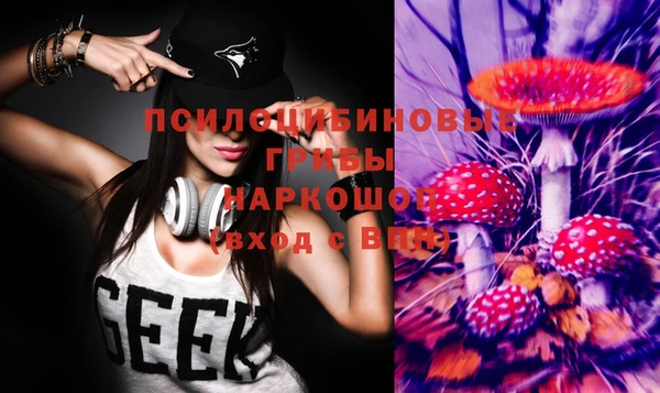 бошки Карпинск