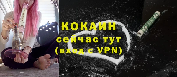 бошки Карпинск